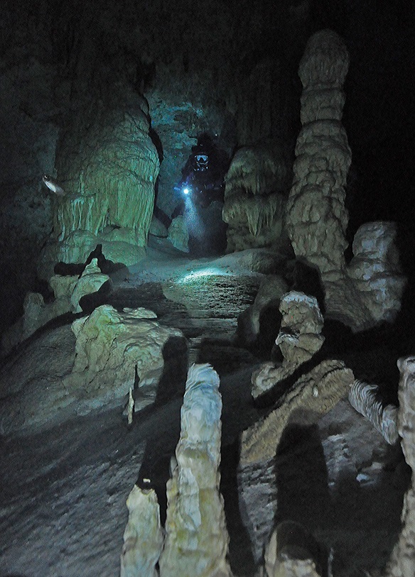 WHY SEEKING A PROFESSIONAL CAVE DIVING GUIDE?